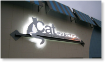 The Cat Practice building